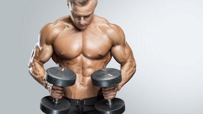 Muscle Building Products: How to Buy Muscle Building Products: How to Buy