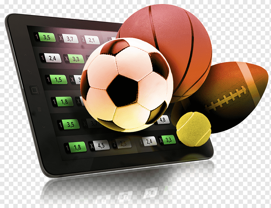 Find the Best No Verification Casinos 11 Find the Best No Verification Casinos 11